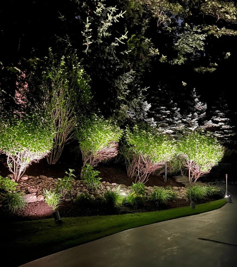 Home with evening uplighting pathway