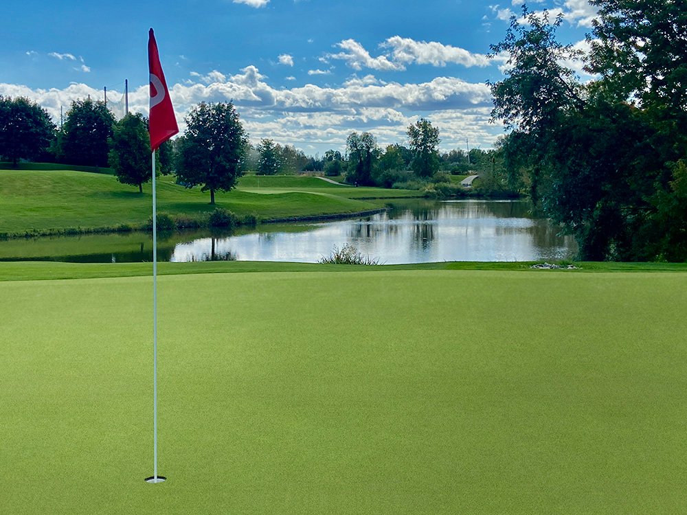 Backyard putting green